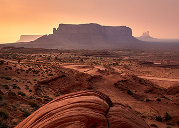 ari