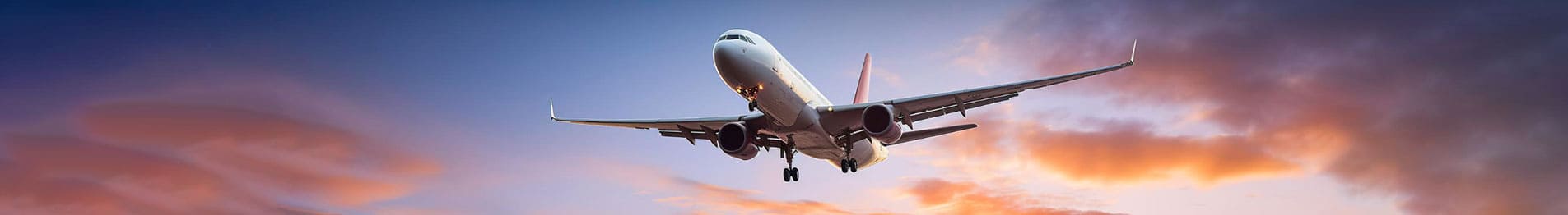 Explore Aer Lingus Flights